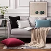 Inyahome Water Blue Velvet Soft Solid Decorative Throw Pillow Cover with Tassels Fringe Boho Cushion Case for Couch Sofa Bed 6