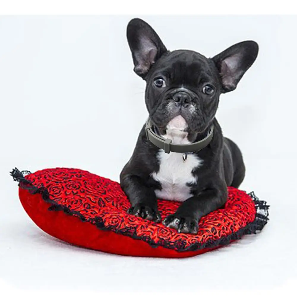 2019 Removes Flea And Tick Collar Dogs Cats Up To 8 Month Flea Tick Collar Anti-mosquito and insect repellent new