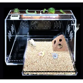 

Transparent Acrylic Reptile Plant Feeding Tank Breeding Box Vivarium Lid Breeding Tank With Lock Light