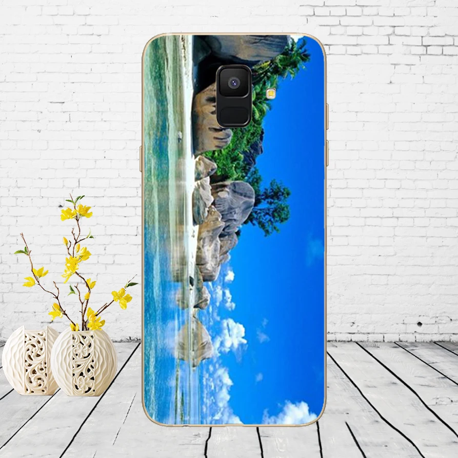 Силиконовый чехол для телефона samsung Galaxy A6 Dual SIM SM A600 A600F мягкая ТПУ задняя крышка для samsung A6 Plus A605 A605F - Цвет: B14