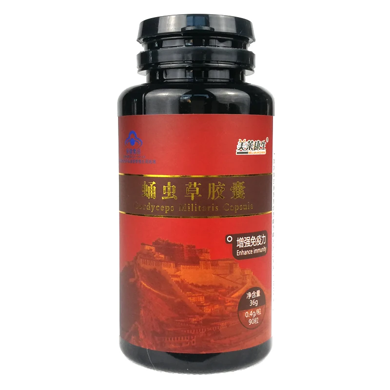 Best Cordyceps Sinensis Militaris Mushroom Mycelium Extract Capsules Supplement for Fungus/adrenal