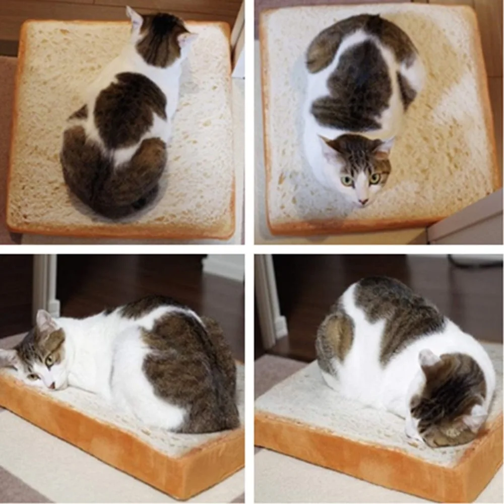 Pet bed dog cat pad blanket kennel durable soft toast bread pouch egg pad quilt cat pet pad set hondenmand donut 30N25 (10)
