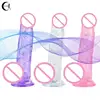 Soft Dildo Erotic Adults Sex Toys for Woman Female Colorful Rainbow Transparent Silica Gel Simulation Penis G-Spot Simulation 1