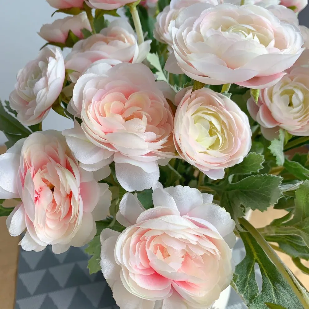 4c6bcaf9ccfc427b6987914a53bf828