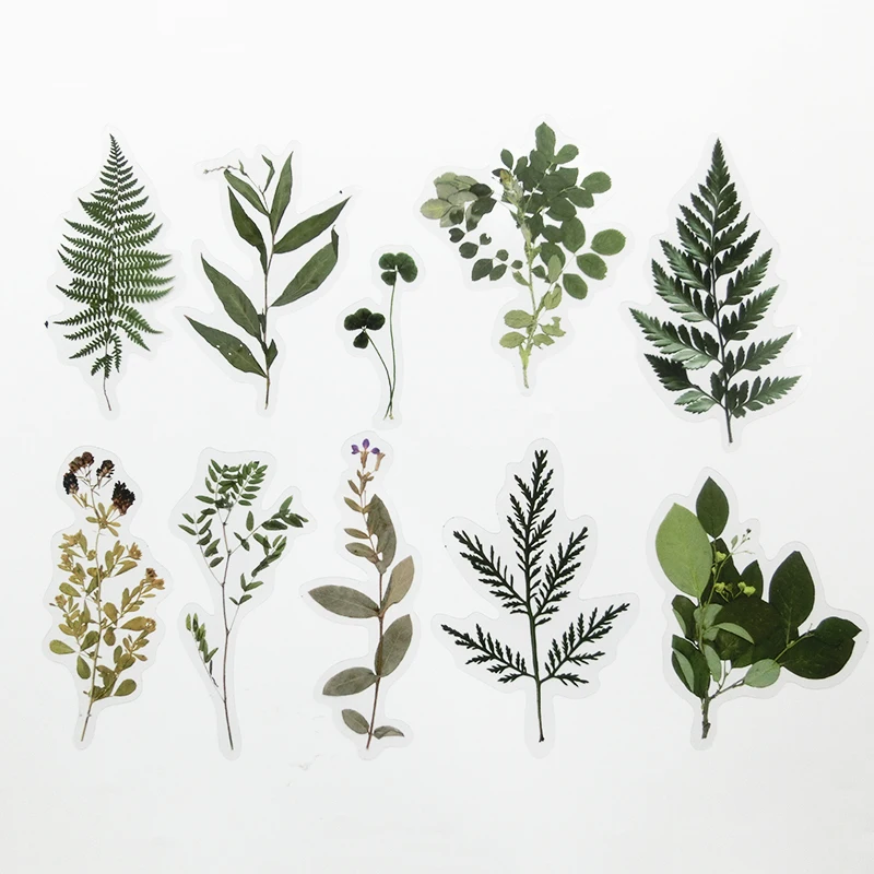 80Pcs/Set Simulation Flowers Leaves Stickers Transparent PET Sticker DIY Diary Calendar Decoration Scrapbooking Plant Sticker