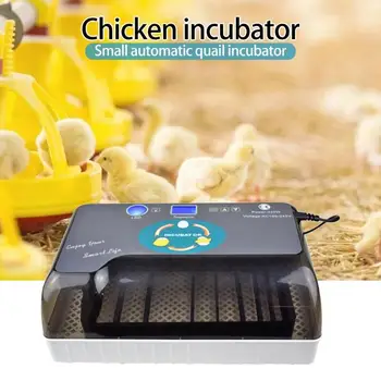 

12Egg Incubator Hatchers Chicken Incubadora Automatic Farm Quail Egg Hatchery Machine for Sale Quail Brooder EU/USPlug