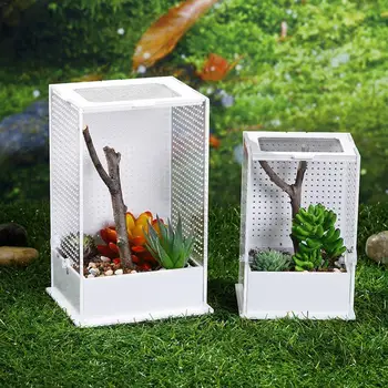 

Transparent Reptile Feeding Box Acrylic Insect Box Mantis Breeding Box Insect Reptile Cage Feeding Box Reptile Terrarium