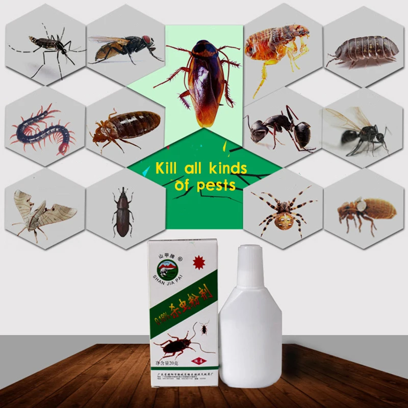 10792720000_816602305