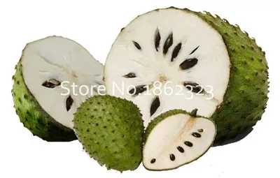 20 шт. Soursop бонсай фрукты, Graviola Annona муриката сладкий СОП вкусные фрукты бонсай сахар яблоко Annona дерево растение в бонсай - Цвет: 3