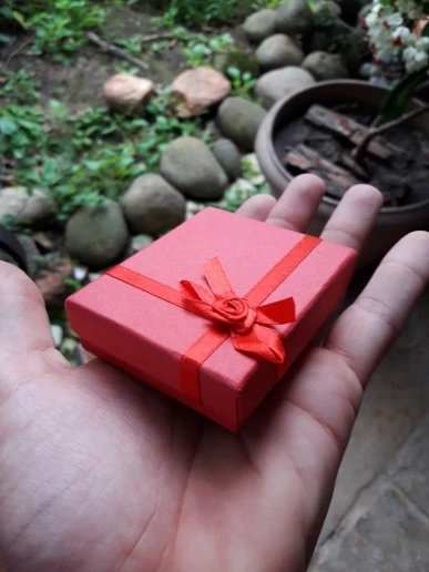 red box 2 шт. 100 языков I love you Проекционные кольца для женщин модные ювелирные изделия Романтическая любовь память Свадебные кольца наборы подарки - Цвет основного камня: red box