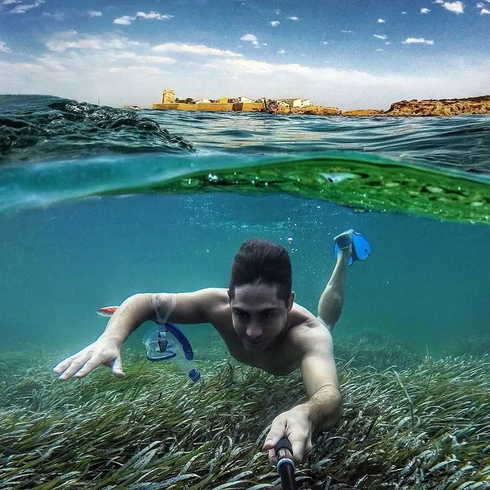 TB2gx.rlCJjpuFjy0FdXXXmoFXa_!!274084645