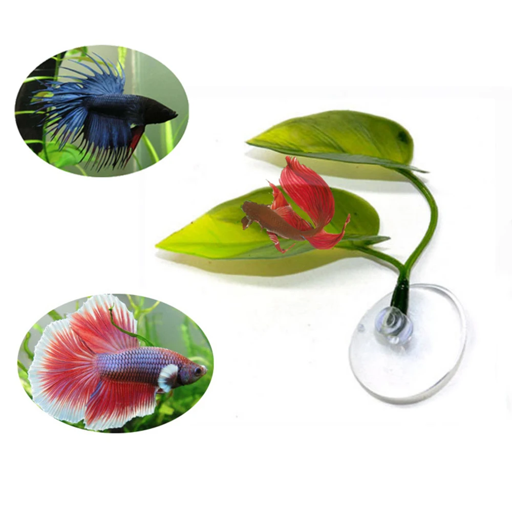 Prevents Harmful Bacterial Growth Betta Fish Leaf Pad Betta Hammock laamei Plastic Aquarium Plants with Suction Cup Replicate Natural Habitat for Betta & Improve Well-Being Tannin Improves Immunity 