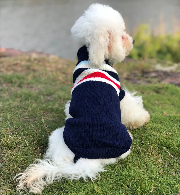 Winter Is Not Cold With Sweet Cartoon Sweaters For Dogs