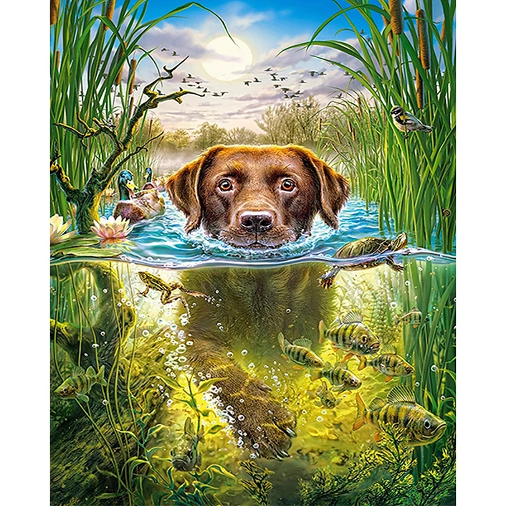 5D DIY Full Square/Round Swimming Dog Diamond Painting Embroidery Cross Stitch Rhinestone Mosaic Picture Home Decoration DW007 | Дом и сад