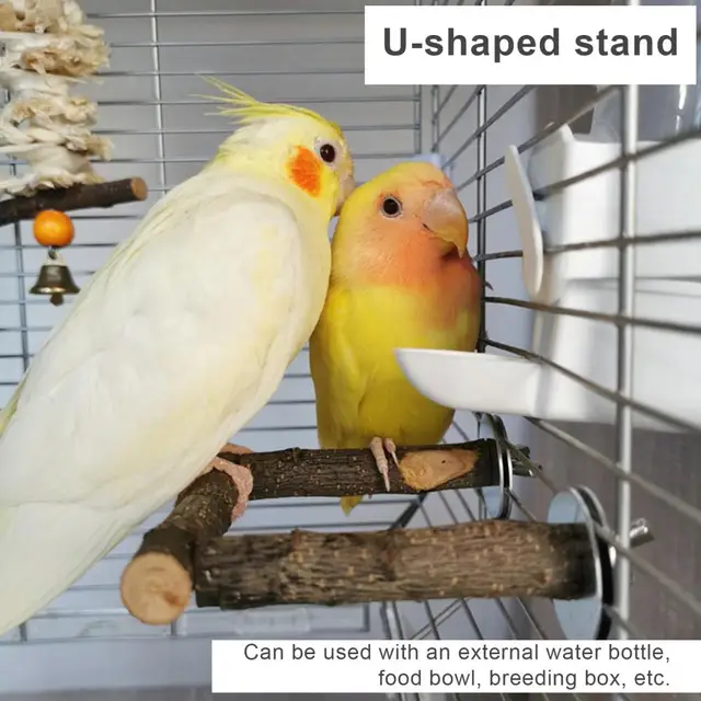 Perchoirs écologiques pour perroquets