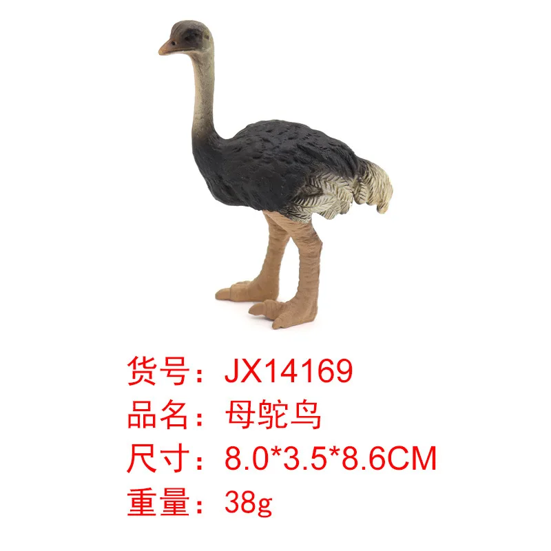 Mini Model Birds Model Parrot Eagle Peacock Flamingo Children Toy Animals Decoration
