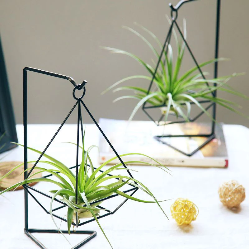 

Hydroponics Vase Container Iron No Soil Decoration Family Beautiful Flower Stand Office Sturdy Iron Geometry Frame Drop Shipping