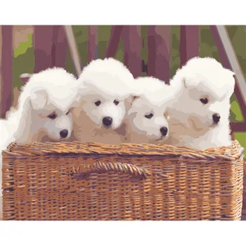 

DIY Digital Oil Painting Cute Puppy Relaxation Coloring
