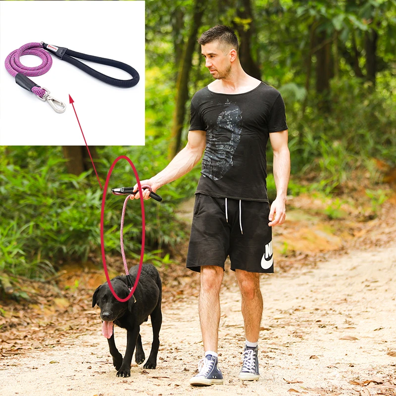Hunter leashes Clearance