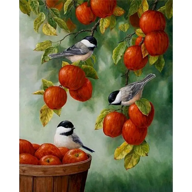 

RUOPOTY Painting By Numbers Red apple bird Hand Painted Pictures By Number Figure On Canvas Home Decoration DIY Gift Wall Art