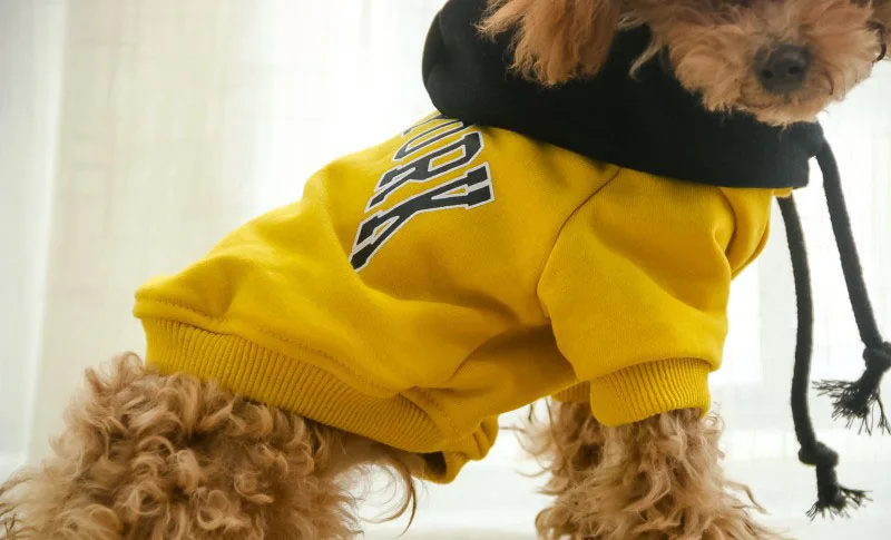 9501536251_235617381