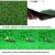 50x100cm 1.5/2.5/3cm Искусственный Газон Наружное Украшение Зеленый Корпус Газон Детская Площадка Свадьба Поддельный Газон Ковер Садовый Декор