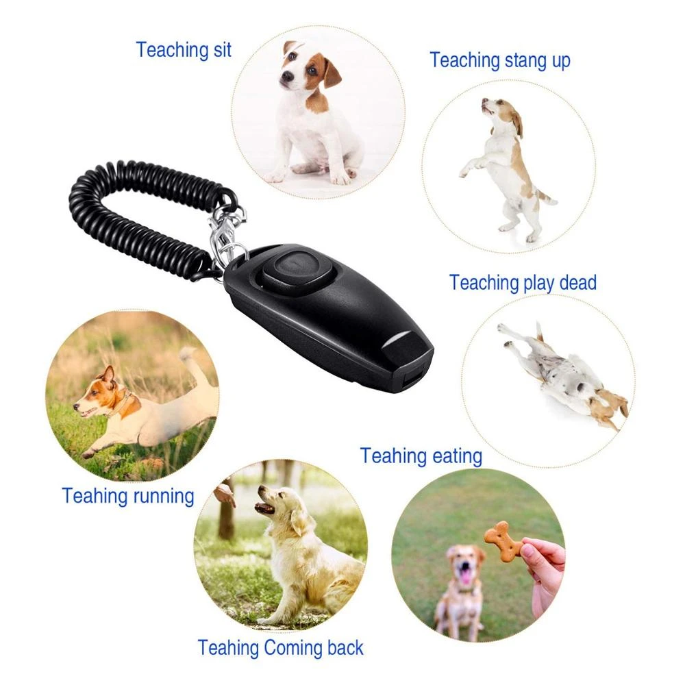 how to use a dog clicker to stop barking