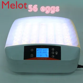 

Cheap 56 Eggs Mini Thermostat Home Incubator Automatic Egg Incubator Hatcher Mute Intelligent Control LCD Alarm with Egg Tester