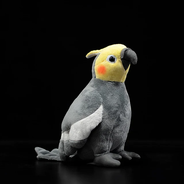 19cm Gris Pigeon Peluche Jouet Réaliste Rock Dove Pigeons Oiseau Peluche  Animal Jouets Cadeaux d'anniversaire Pour Enfants