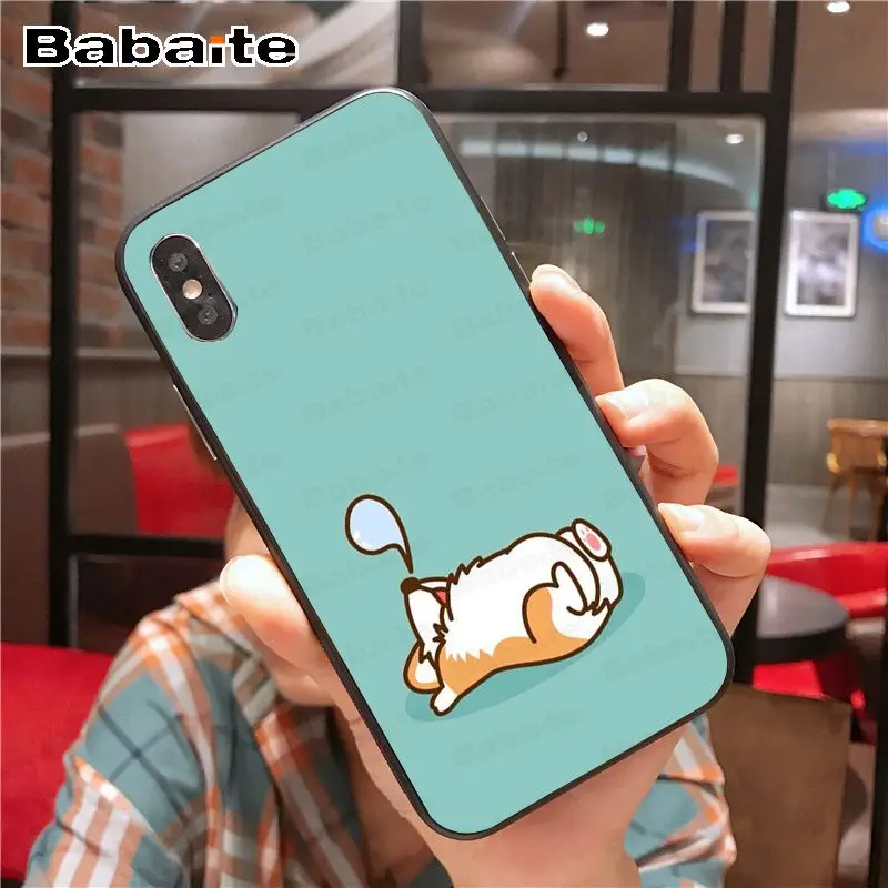 Cartoon Cute Corgi Dog