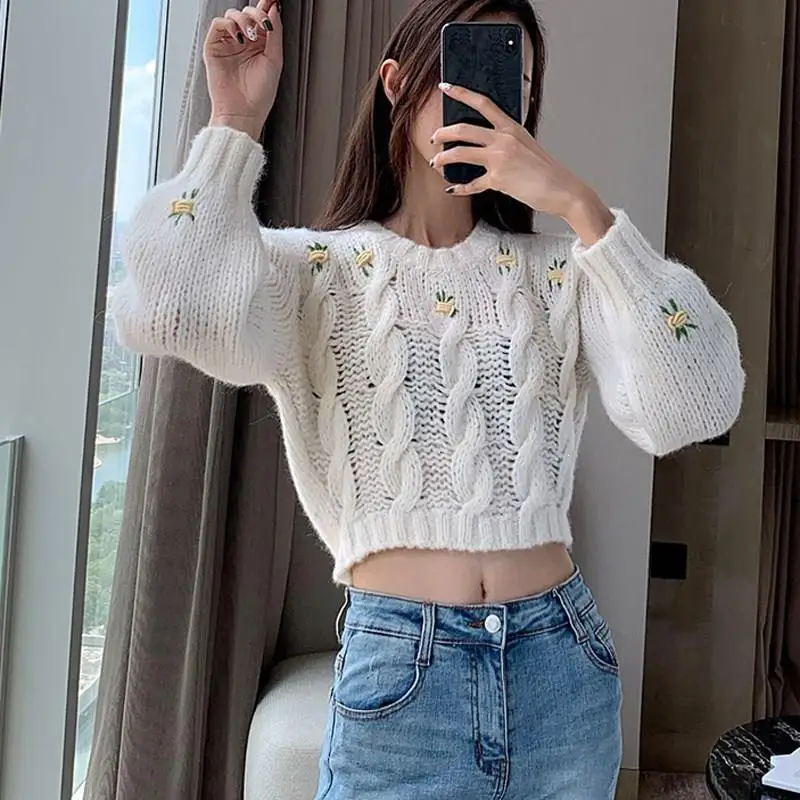 

Fall Winter Women Puff Sleeve Sweaters Short Embroidery Long Sleeve Sweaters Casual Pullovers Knitted Jumpers