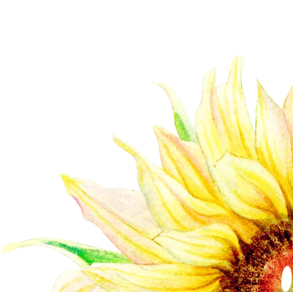向日葵加标