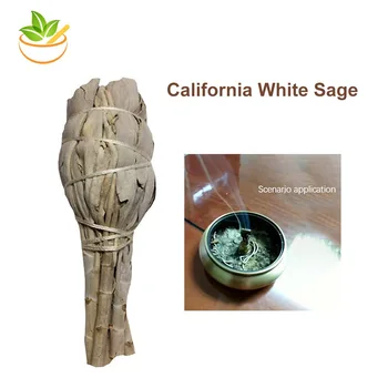 

2 Packs Steam Tool Californian White sage Pure Leaf Smoke White Sage Smoking smudge bundle smudge Stick Air purification
