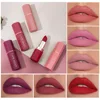 6 Colors Matte Waterproof Velvet Lipstick Sexy Red Brown Pigments Makeup Long Lasting Profissional Lipstick ► Photo 1/6