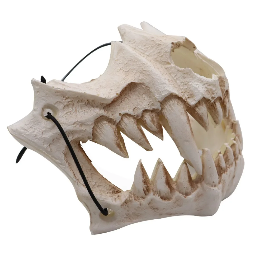 13851257013_421883003