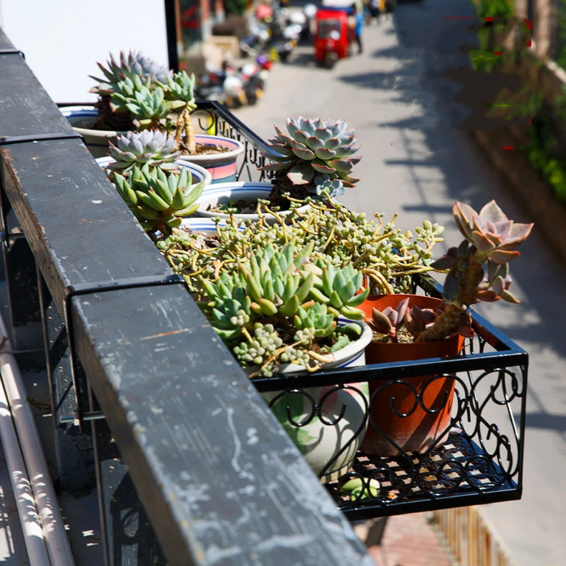 

Flower Rack Suspension Iron Art Flower Rack Hanging Type Flowerpot Frame Green Radish Meat Flower Rack Room Built-in Rack