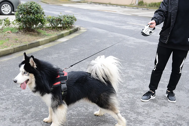 FML домашнее животное привести Втягивающийся поводок для собак, поводок с светодиодный фонарик 16 футов Автоматическая собака безопасность при ходьбе поводки для маленьких, средних и больших собак