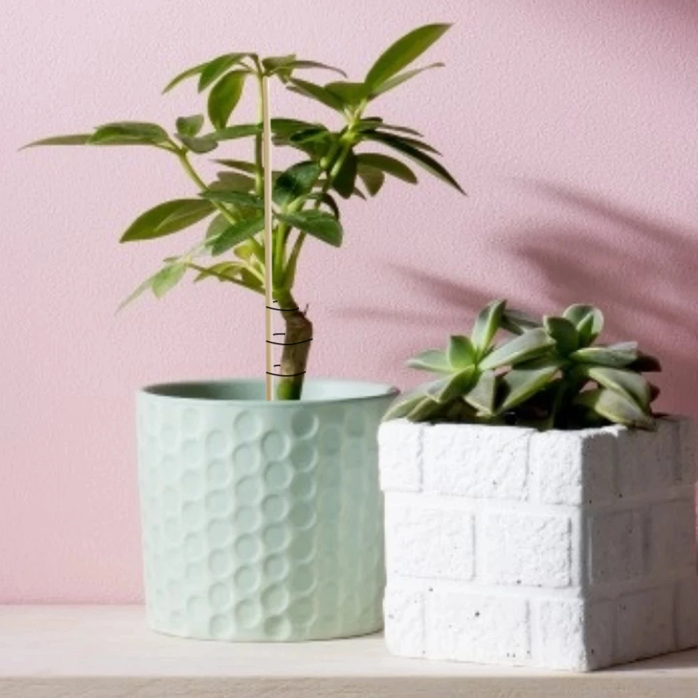 Tuteurs Plantes UCLEVER - 30 Pièces - 17/27/37 Cm - Pour Roses, Orchidées...