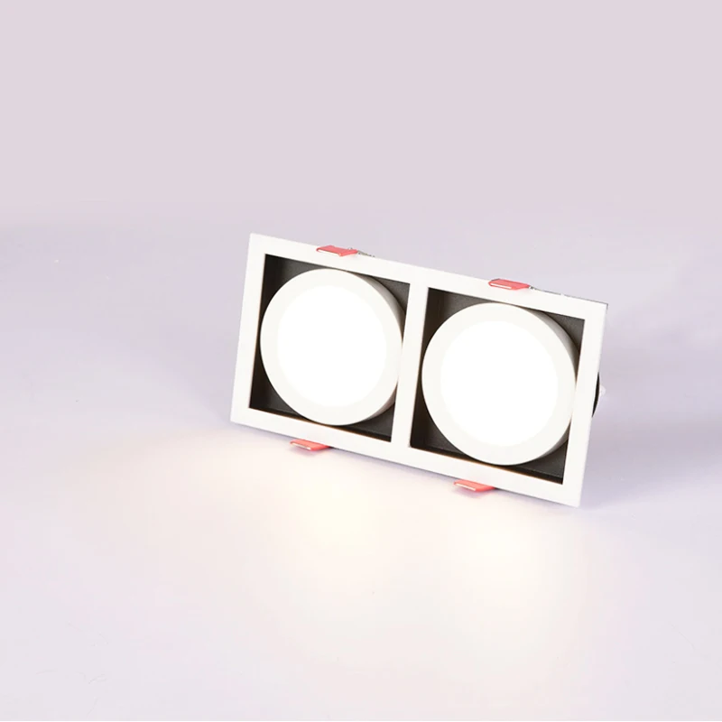 

2021 New Single/Double Head Led Downlights Led Spot Light Lamp 220V 110V 12w 24w Downlight Ceiling Fixture for Home Kitchen Lamp