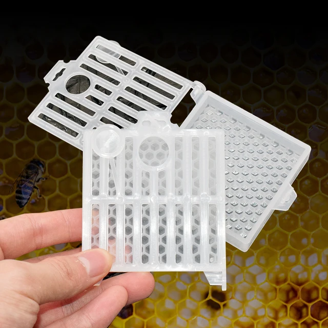 Méhészeti Közlekedési Queen Ketrecek Méh Poszt Ketrec Fésű Finanszírozási Lap Apiculture Méhészet Queens Hajózási Doboz