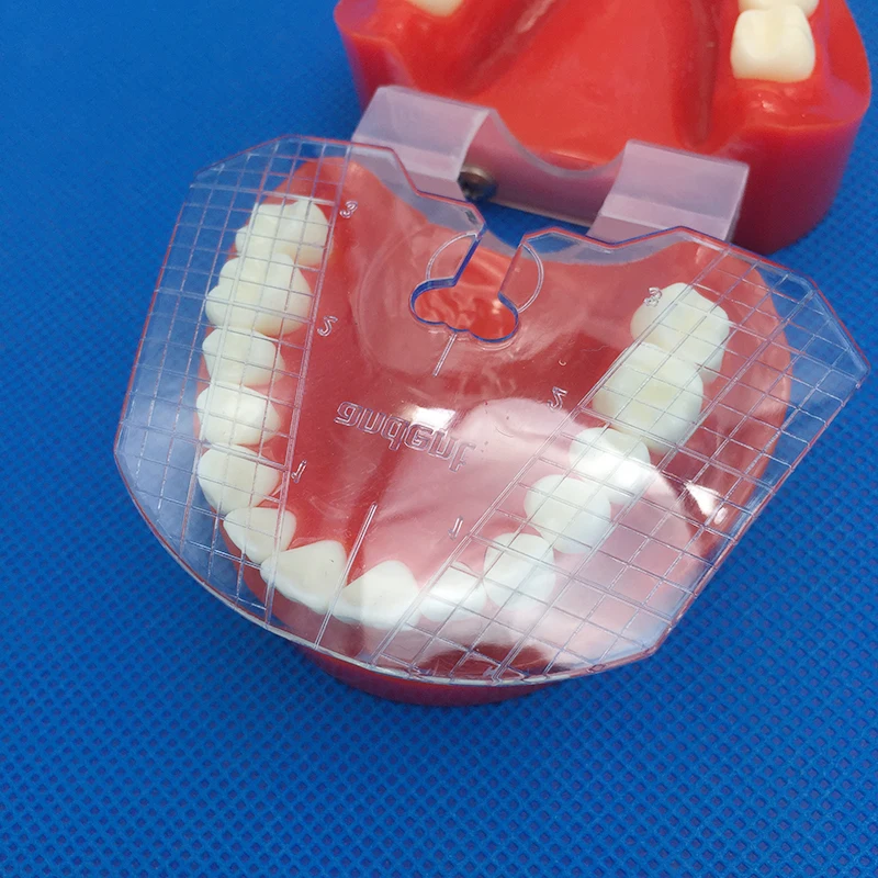 New1pcdentallabdentalguideplateteetharrangementondenture