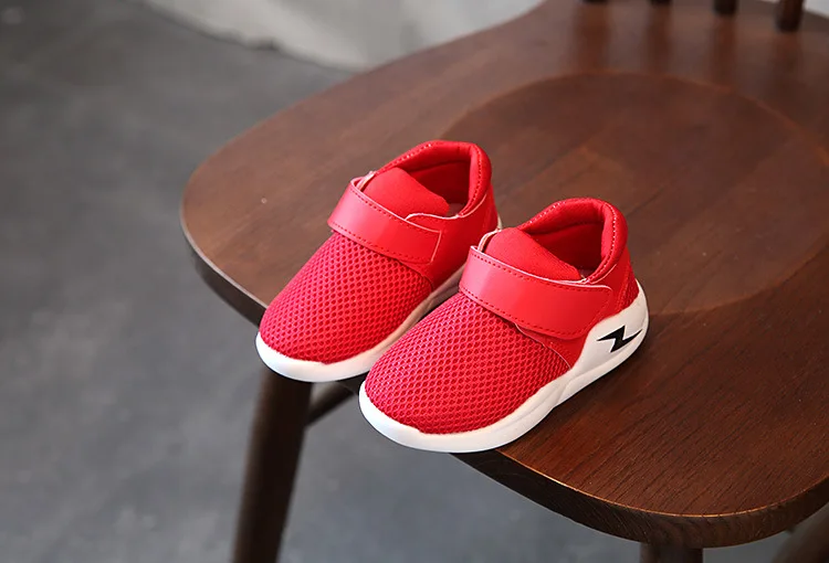 4522861144_136845087