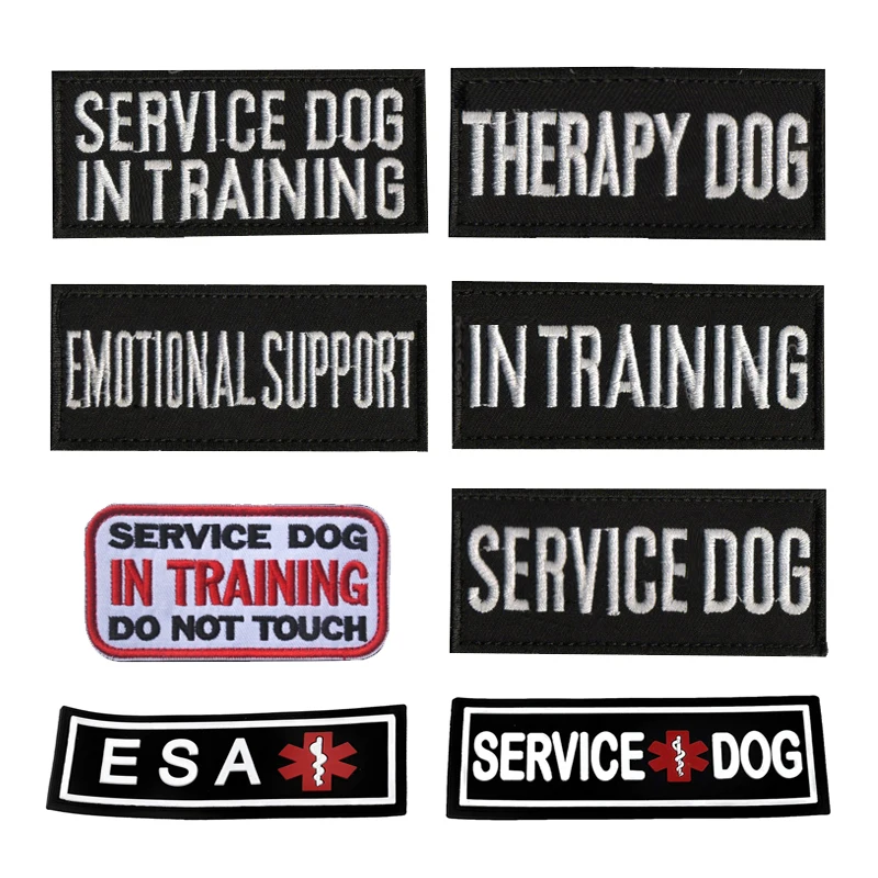 微信图片_20200408112100