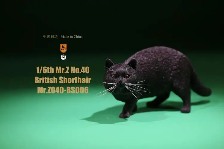 1/6 Resin Animal Model Mr.Z Animal Model 1/6 Scale British Shorthair Cat MRZ040-BS For 12" Action figure soldier