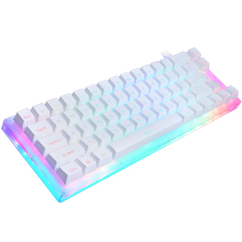 Keyboard 66Key Tyce-C Wired RGB Backlit Gateron Switch Mechanical Gaming Keyboard With Crystal Base For PC Laptops