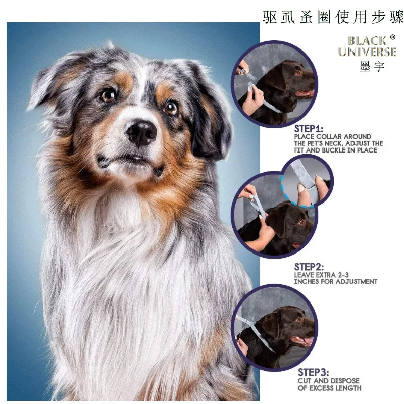 10786016074_1784203427