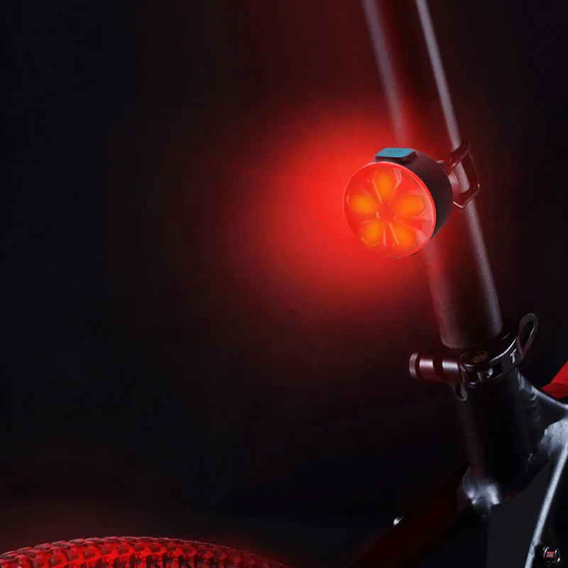 Bicycle Light 620nm Bike Rear Light USB Rechargeable LED Bicycle Taillight 250mAh 5Mode Waterproof Mtb Cycling Flash Lights (5)