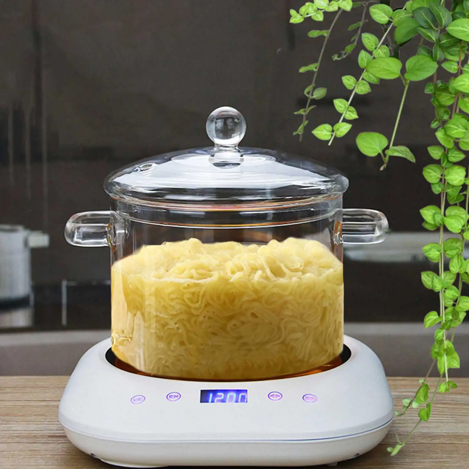 Kitchen Cookware Glass Pot With Lid Heat Resistant Pot Transparent - 1500Ml