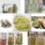1Set Seed Sprouter Прорастание Крышка Комплект Прорастание Каменные Банки с Ситечком из Нержавеющей Стали Крышки Из Нержавеющей Стали Прорастание Stan