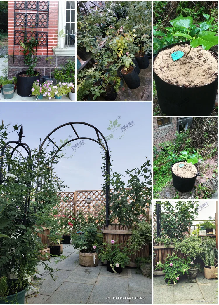 12783172654_1432856766